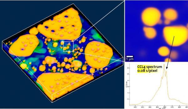 apyron 全自动激光共聚焦显微拉曼系统