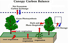 红外传感器在土壤碳通量测量系统中的应用